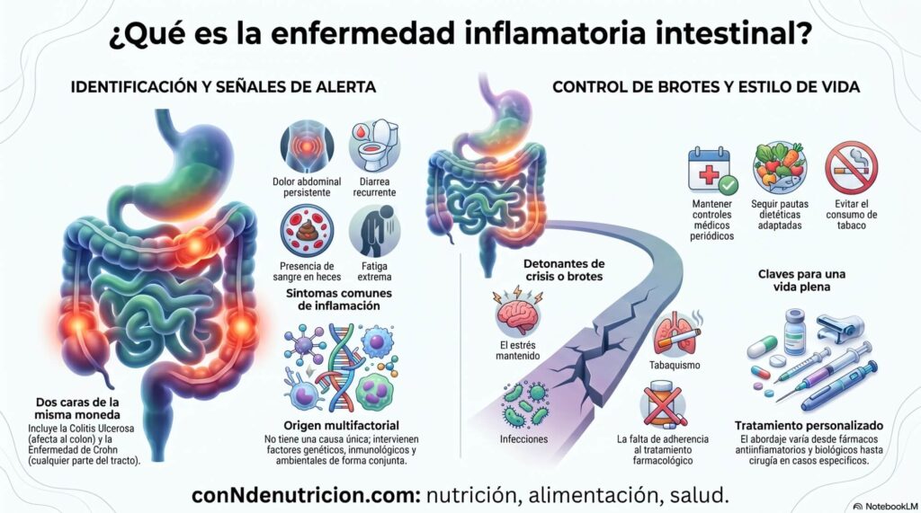 ¿Qué es la enfermedad inflamatoria intestinal? ¿Cuáles son sus síntomas? ¿Qué podemos hacer para convivir mejor con esta enfermedad?