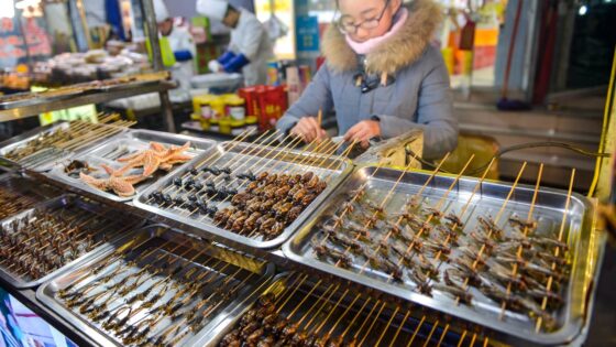 Insectos comestibles preparados como alimento.