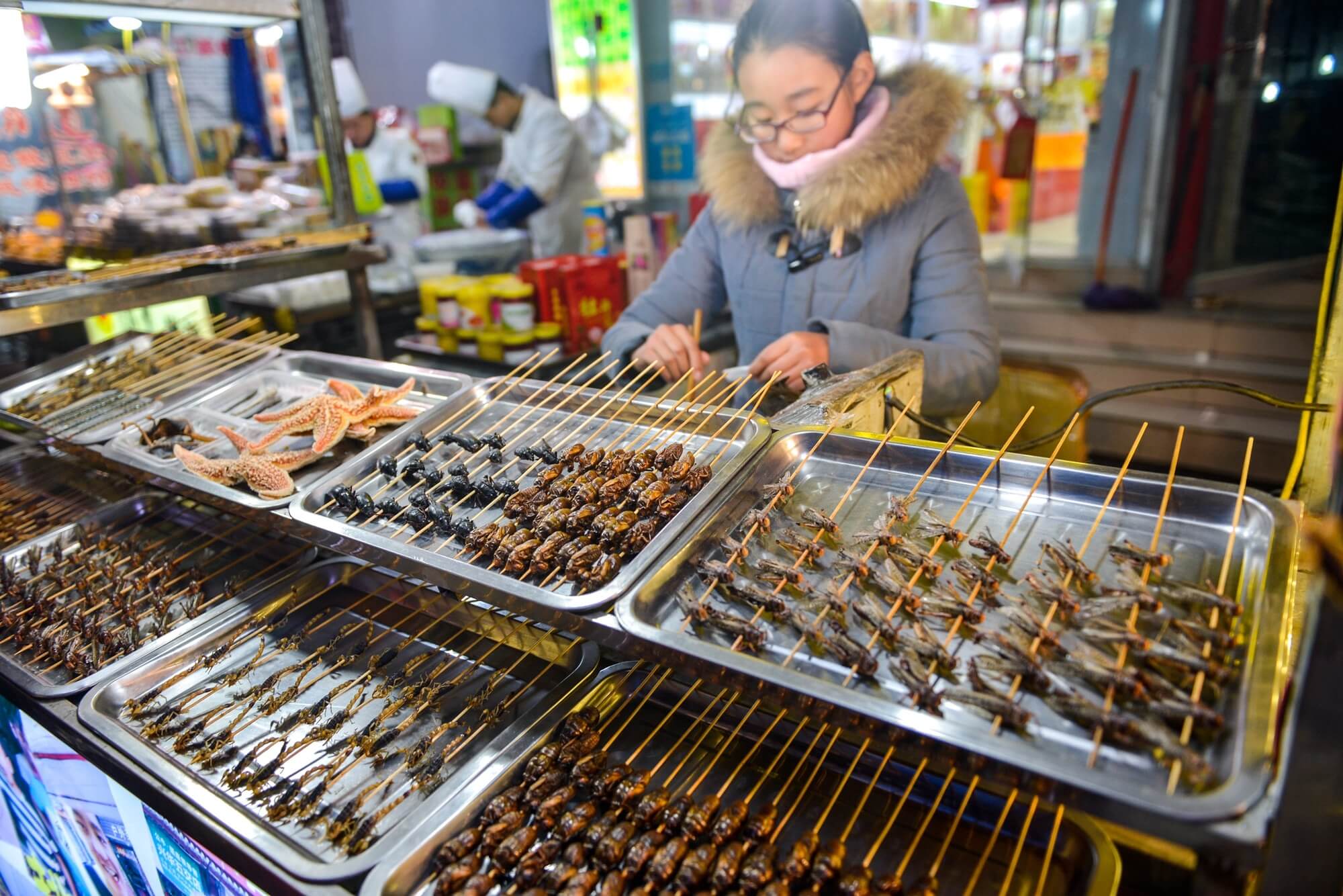 Insectos comestibles preparados como alimento.